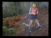 VTT-051112-13