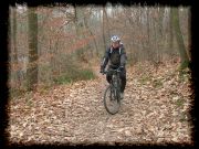 vtt-060128-07